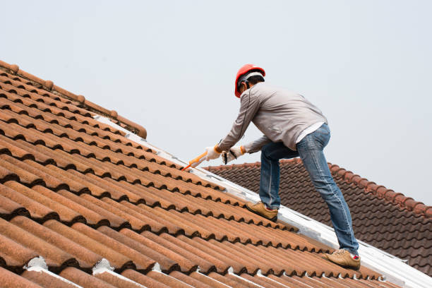 Fast & Reliable Emergency Roof Repairs in Harrisburg, AR