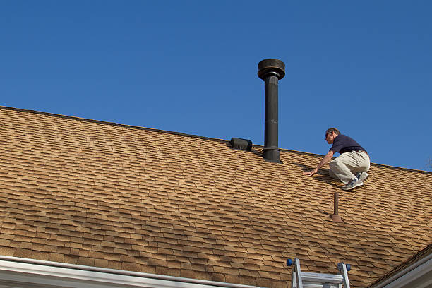Best Roof Moss and Algae Removal  in Hrisburg, AR